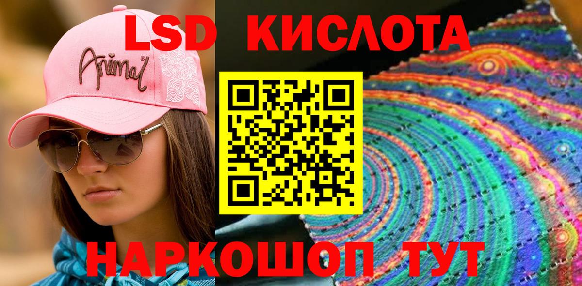 где купить наркотик  Наркотические марки 1,8мг  Вход с VPN  Черняховск 