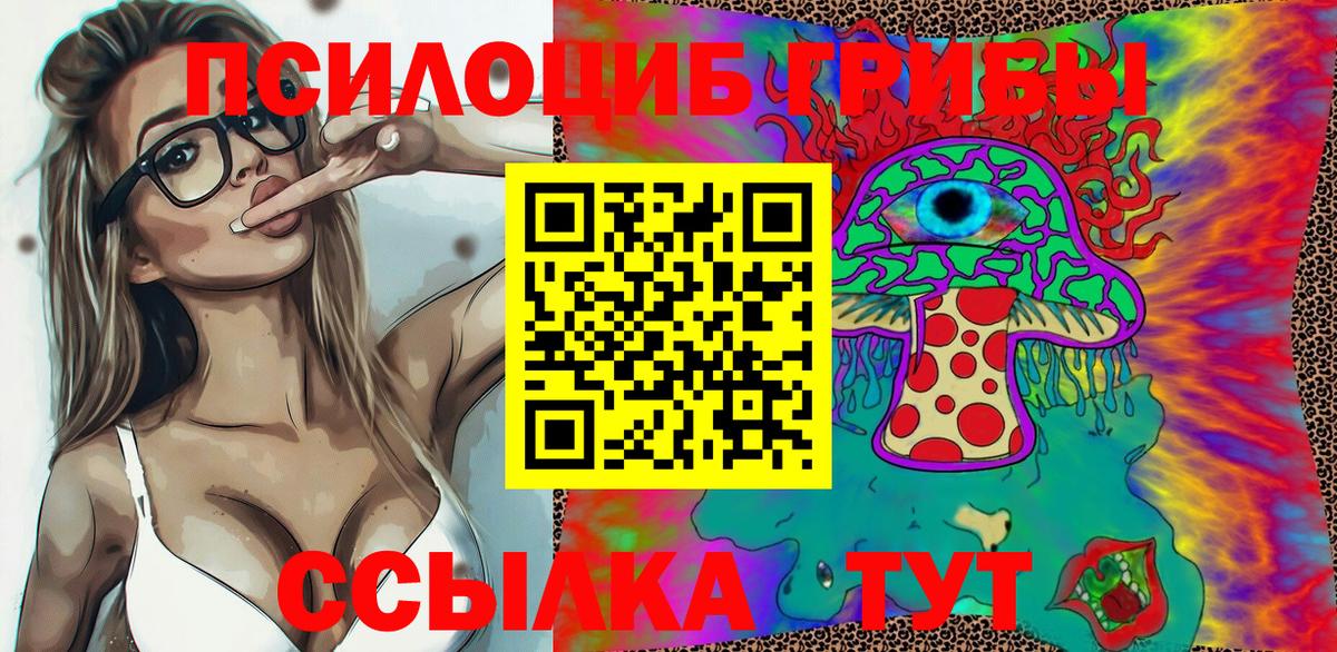 Галлюциногенные грибы GOLDEN TEACHER  Вход с VPN  продажа наркотиков  Черняховск 