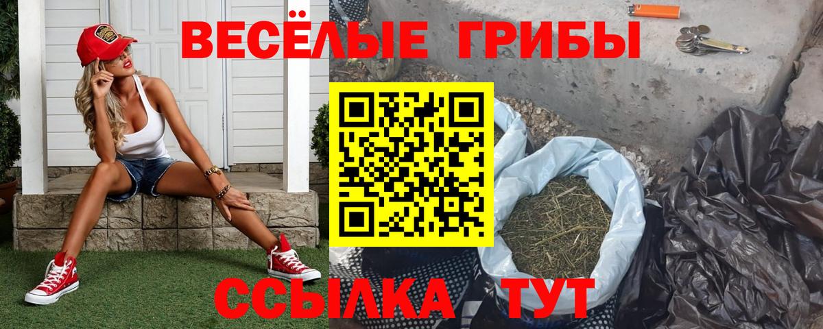 Галлюциногенные грибы Magic Shrooms Черняховск